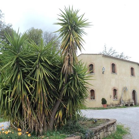 Agriturismo Il Daino Vila San Piero Patti Exterior foto