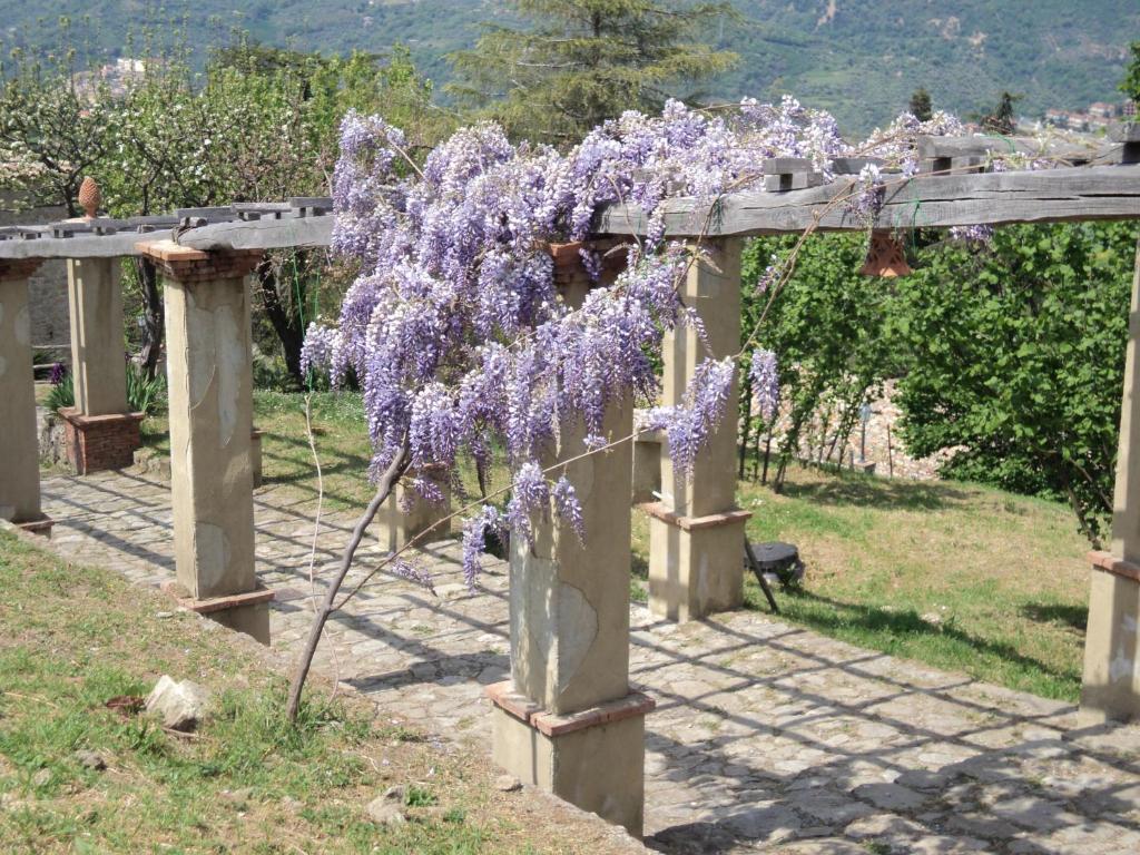 Agriturismo Il Daino Vila San Piero Patti Exterior foto